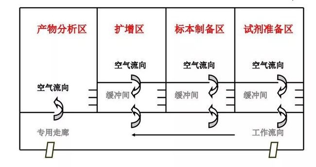 PCR实验室设计建设方案大全