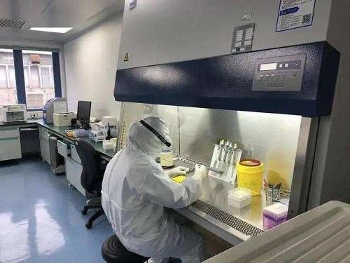 PCR核酸实验室工作职责